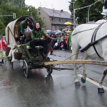 Der Tag der Sachsen 2001 in Zittau